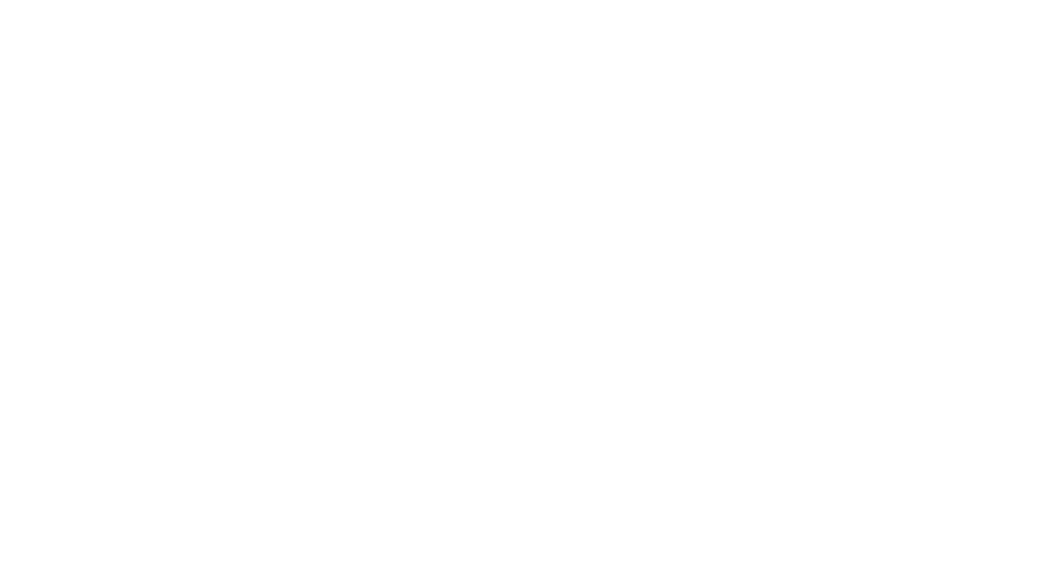 Audit Flow